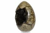 Septarian Dragon Egg Geode - Sparkly Black Crystals #359074-1